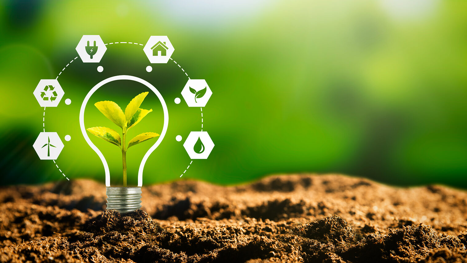 Ein Pflänzchen in einer Glühbirne mit sechs Fünfecken, die Wind, Recycling, Strom, Gebäude, Natur und Wasser symbolisieren. 